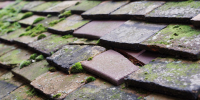 St Brides Wentlooge roof repair costs